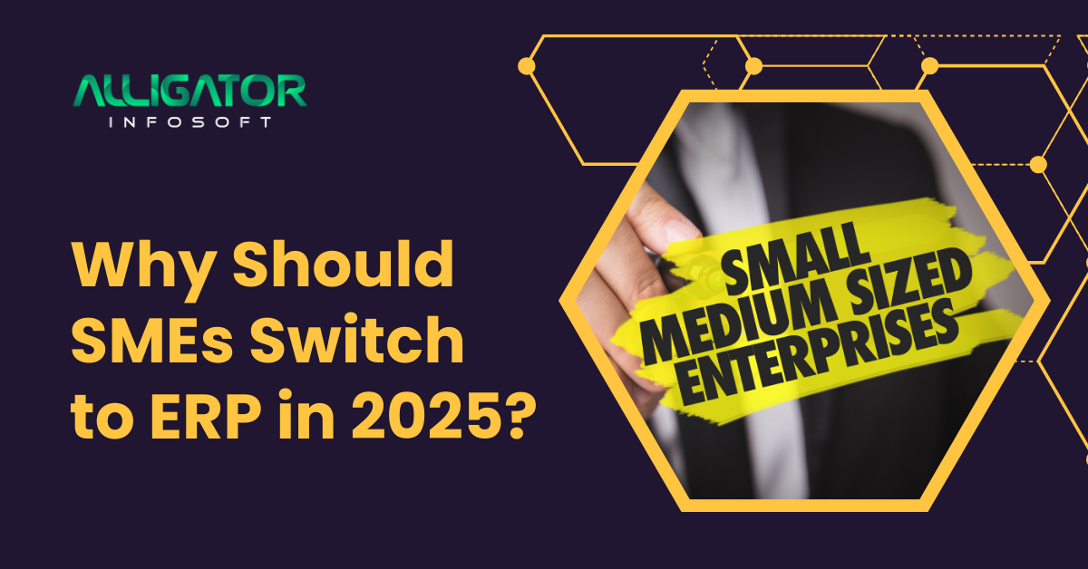 Why Should SMEs Switch to ERP in 2025