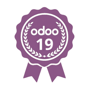 Odoo 19 update